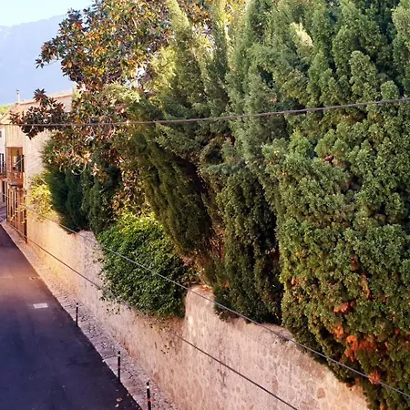 Casa Margarita בית הארחה